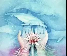 1527127521102260.jpg 02.jpg