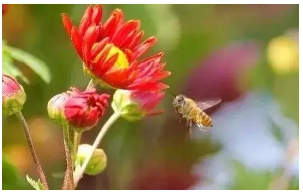 1533809241895223.jpg 1.jpg