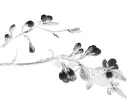 1538189354493510.gif 微信圖片_20180929101946.gif