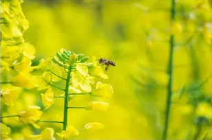 1553668210122746.png image.png