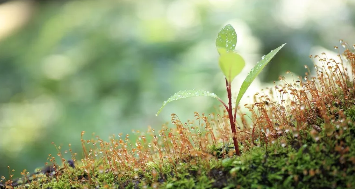 1553668271256820.png image.png