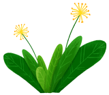 1553670225140189.gif 微信圖片_20190327141822.gif