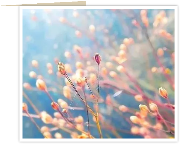 1560136169704956.png image.png