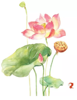 1563257535827584.png image.png