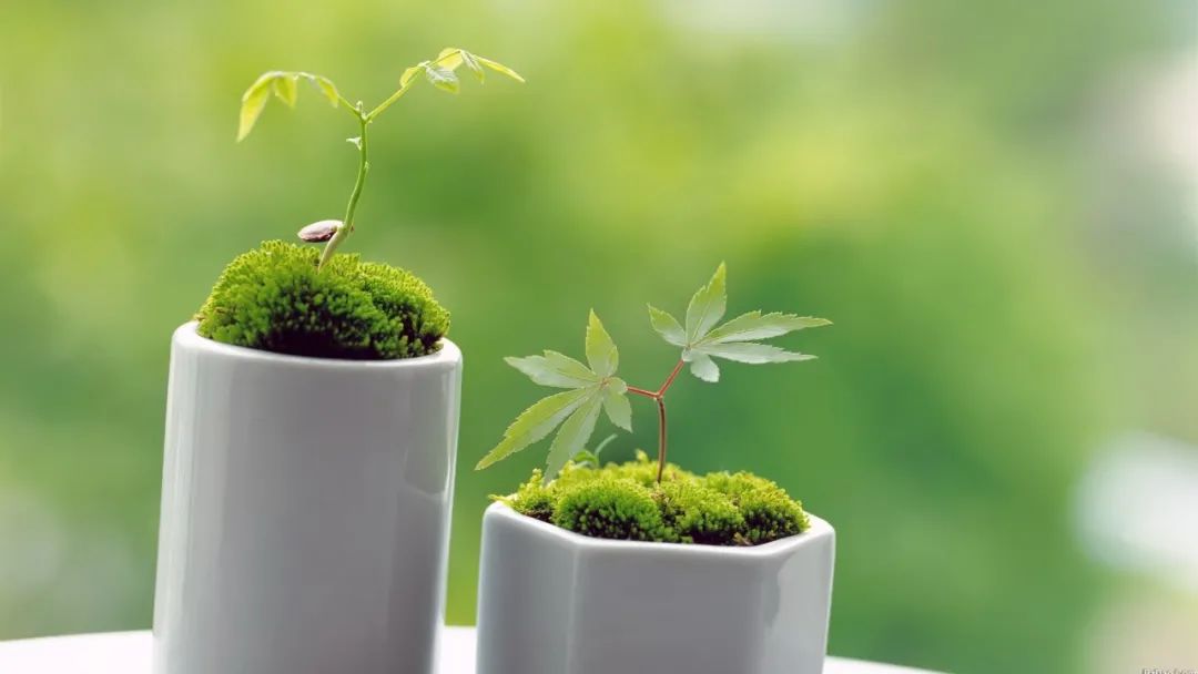 1596676723850668.jpg 1596676723850668.jpg