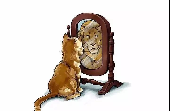 1596677790271843.jpg 微信圖片_20200806093623.jpg