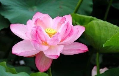 1597194241265487.jpg 微信圖片_20200812090334.jpg