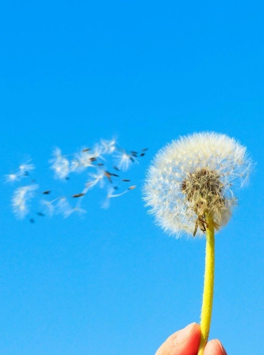 1597195668568027.jpg 1597195668568027.jpg