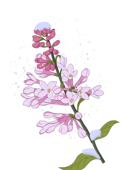 1600914999684094.jpg 微信圖片_20200924103625.jpg