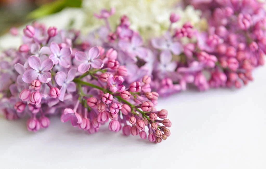 1600915158428195.jpg 微信圖片_20200924103735.jpg