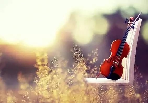 1602242252364796.jpg 微信圖片_20201009191706.jpg