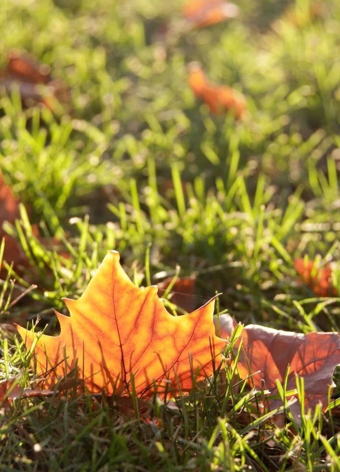 1603590876949242.jpg 微信圖片_20201025095310.jpg