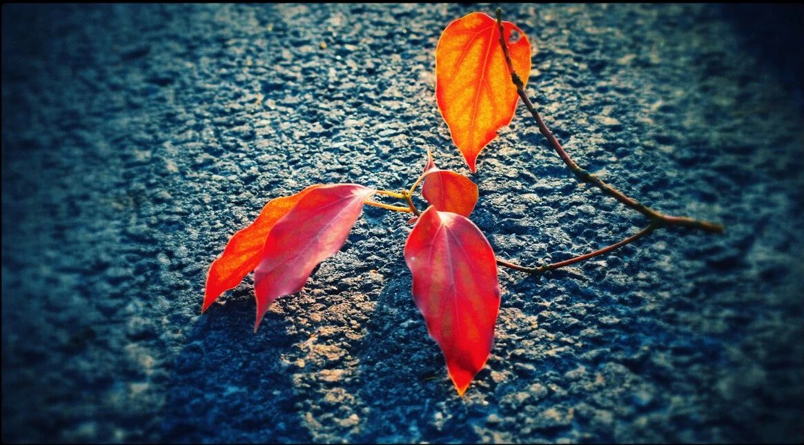 1603590906110339.jpg 微信圖片_20201025095313.jpg