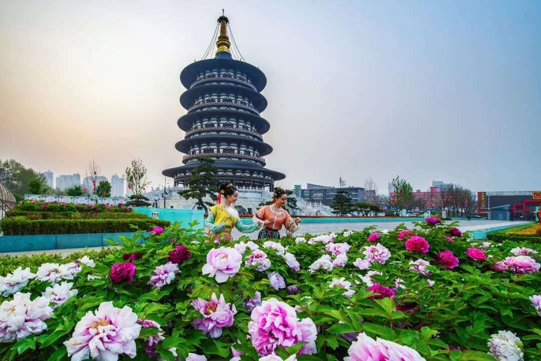 1604493079110929.jpg 微信圖片_20201104203057.jpg