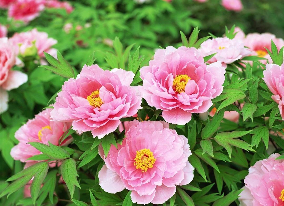 1604493091982383.jpg 微信圖片_20201104203059.jpg