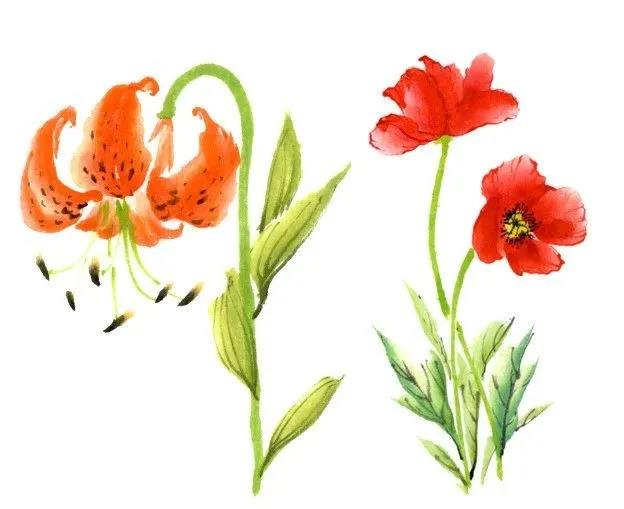 1612519603298415.jpg 微信圖片_20210205180601.jpg