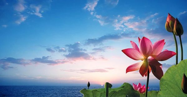 1624411628137502.jpg 微信圖片_20210623092318.jpg