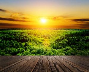 3月31日公益沙龍——人際關系動力性治療團體實戰體驗沙龍